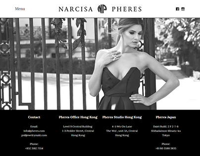 WordPress Theme Jewelry website