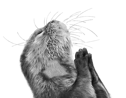 Praying Otter