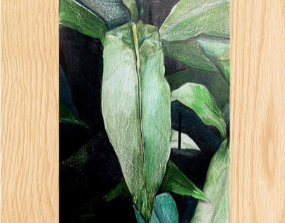 Végétal, 15x21cm, crayon de couleur (2015)