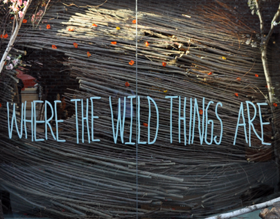 Where The Wild Things Are - film promotion