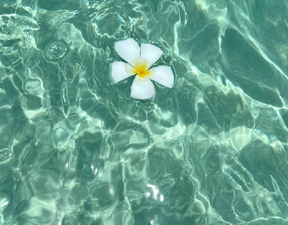 spend some of your time watching flowers in water