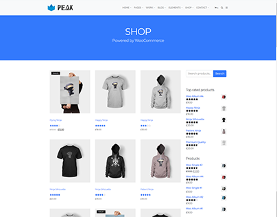 Shop Right Page - Peak WordPress Theme