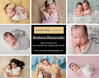 Newborn Photography - Amanda Dams Photography