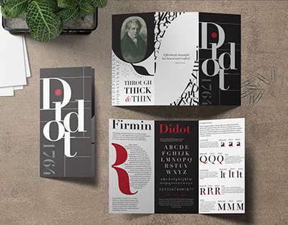 Didot Typographic Brochure