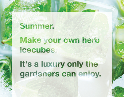 Make your own herb ice cubes.