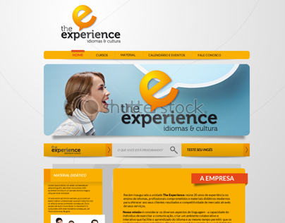 THE EXPERIENCE • LAYOUT WEB