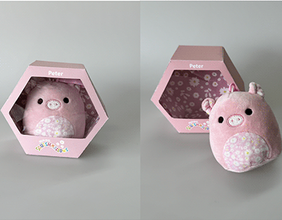Toy Project- Packaging Redesign