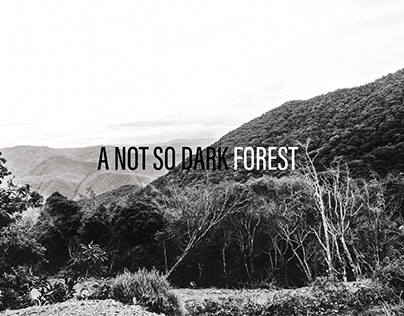 A NOT SO DARK FOREST
