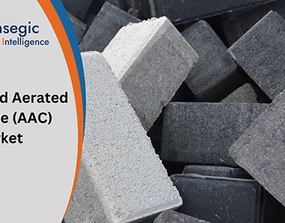 Autoclaved Aerated Concrete AAC Market Industry 2023