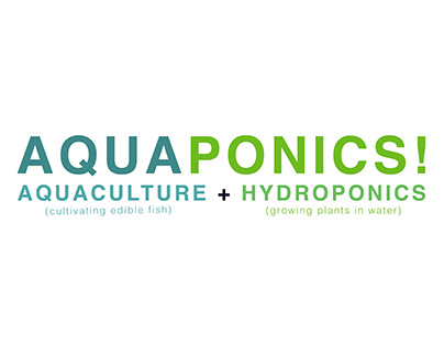 Infographic On Aquaponics