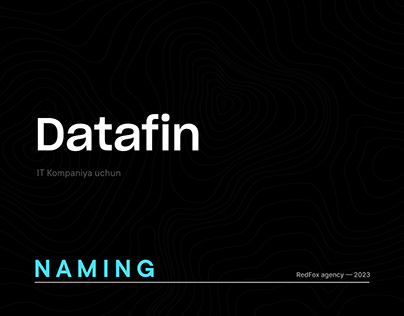 Datafin — Dasturiy ta'minot kompaniyasi uchun naming