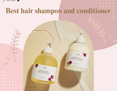Best Hair Shampoo and Conditioner