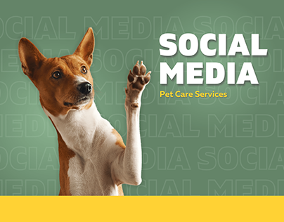 Social Media | Pet Care Services