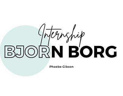 Bjorn Borg / Internship part 3 / Other Tasks