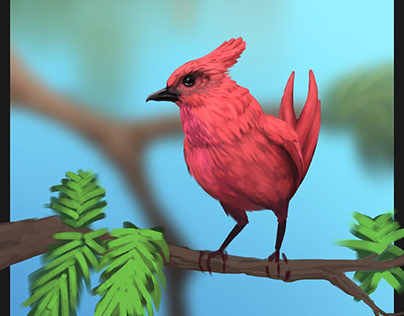 Pássaro exótico - ilustração digital