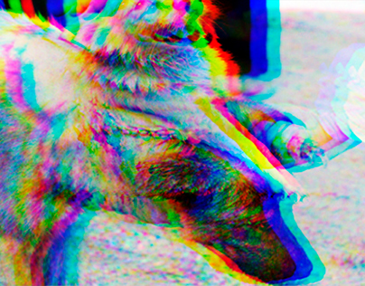 Photo in layers RGB - Photoshop
