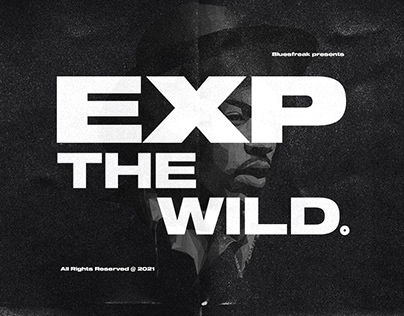 EXP - The Wild.