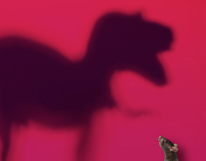 "Dans l'ombre des dinosaures" MNHN