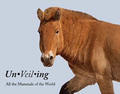 Un / Veil / Ing All the Mammals of the World