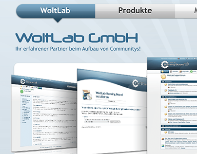 WoltLab Website (2008)
