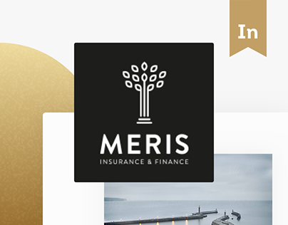 Meris - Insurance & Finance