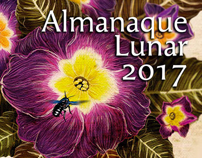 Almanaque lunar 2017