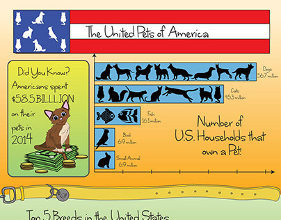 United Pets of America (infographic about pets)