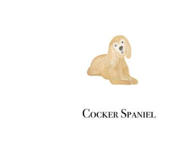 Cocker Spaniel Illustration
