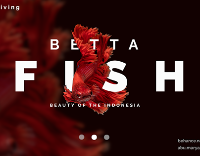 BETTA FISH - INDONESIA