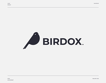 BIRDOX Logo Design