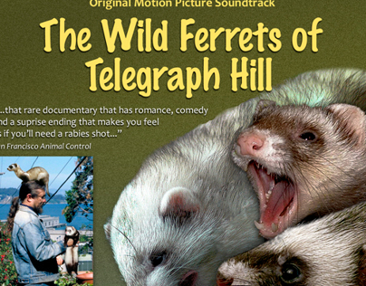 wild, wild ferrets...