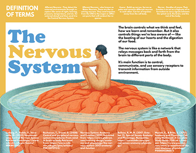 Nervous System Infographic