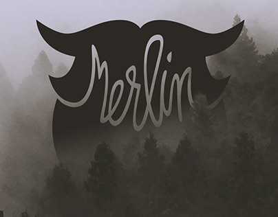 Merlin Produits pour la barbe