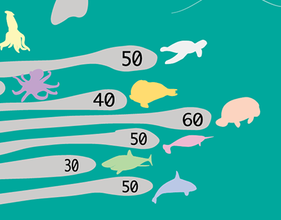 Sea Creatures Infographic