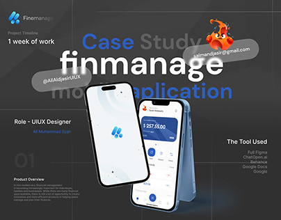 Case Study on How Finmanage cant help your Finances