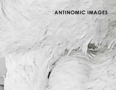 Antinomic images / 2004