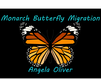 Video: Monarch Butterfly Migration