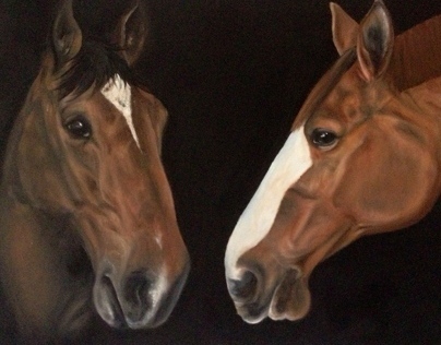 Commissions: Equine, Pets and People