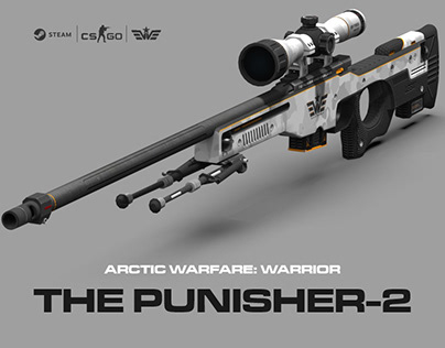 CS GO | AWP | WARRIOR | THE PUNISHER-2