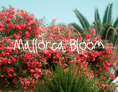 Mallorca Bloom
