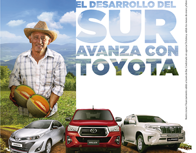 Campaña Toyota Zona Sur