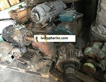 Electric Motor for sale at IVORY PHAR INC