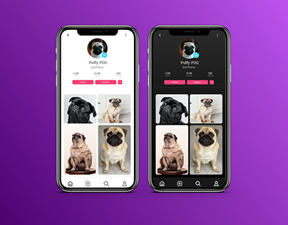 Dog User Profile UI Design