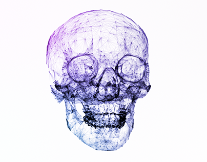 Plexus Skull Animation