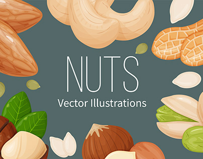 Nuts - Vector Illustrations