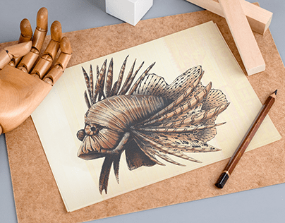 Lionfish Illustration