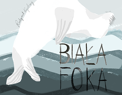 Biała Foka/ White Seal; illustration