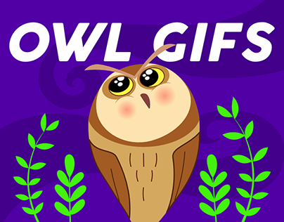 Owl Gifs