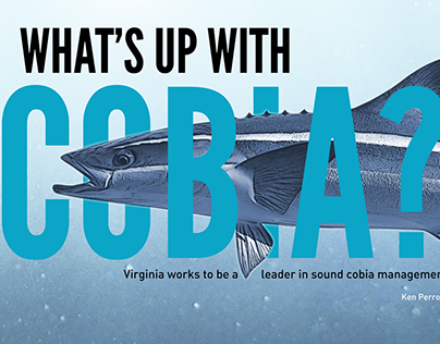 Digital Publication: What's Up With Cobia?