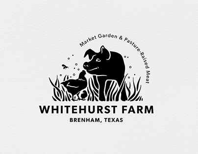 Brand Identity for Texas Farm